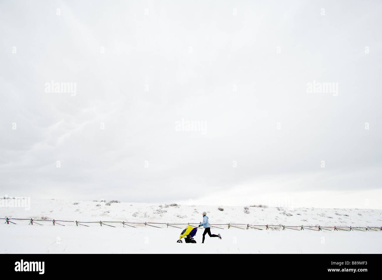 Women runs with her baby Tuscan Glass in Southwest Community Park of Fort Collins on a really cold winter day Stock Photo