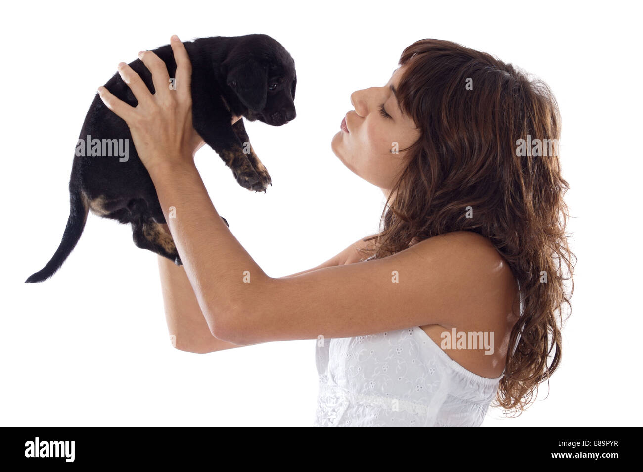 Собака на руках во сне. Щенок на руках. Девушка с собакой на руках. Девушка держит собаку. Девушка с щенком на руках.