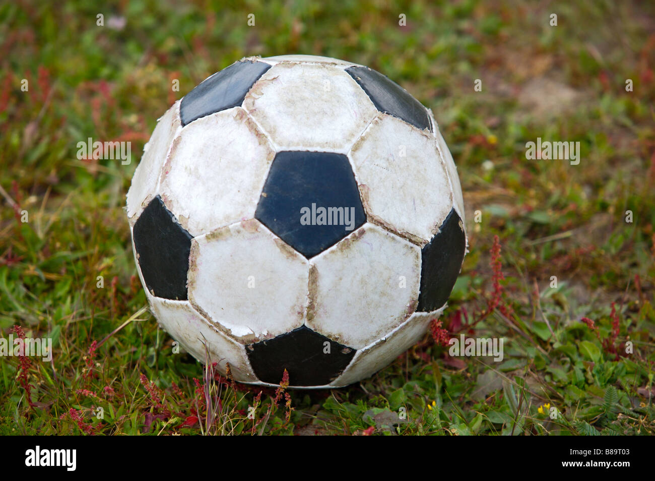 Old dirty soccer ball in the grass Stock Photo Alamy