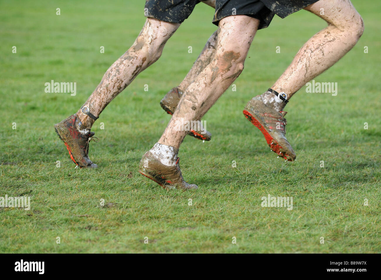 two cross country runners Stock Photo Alamy