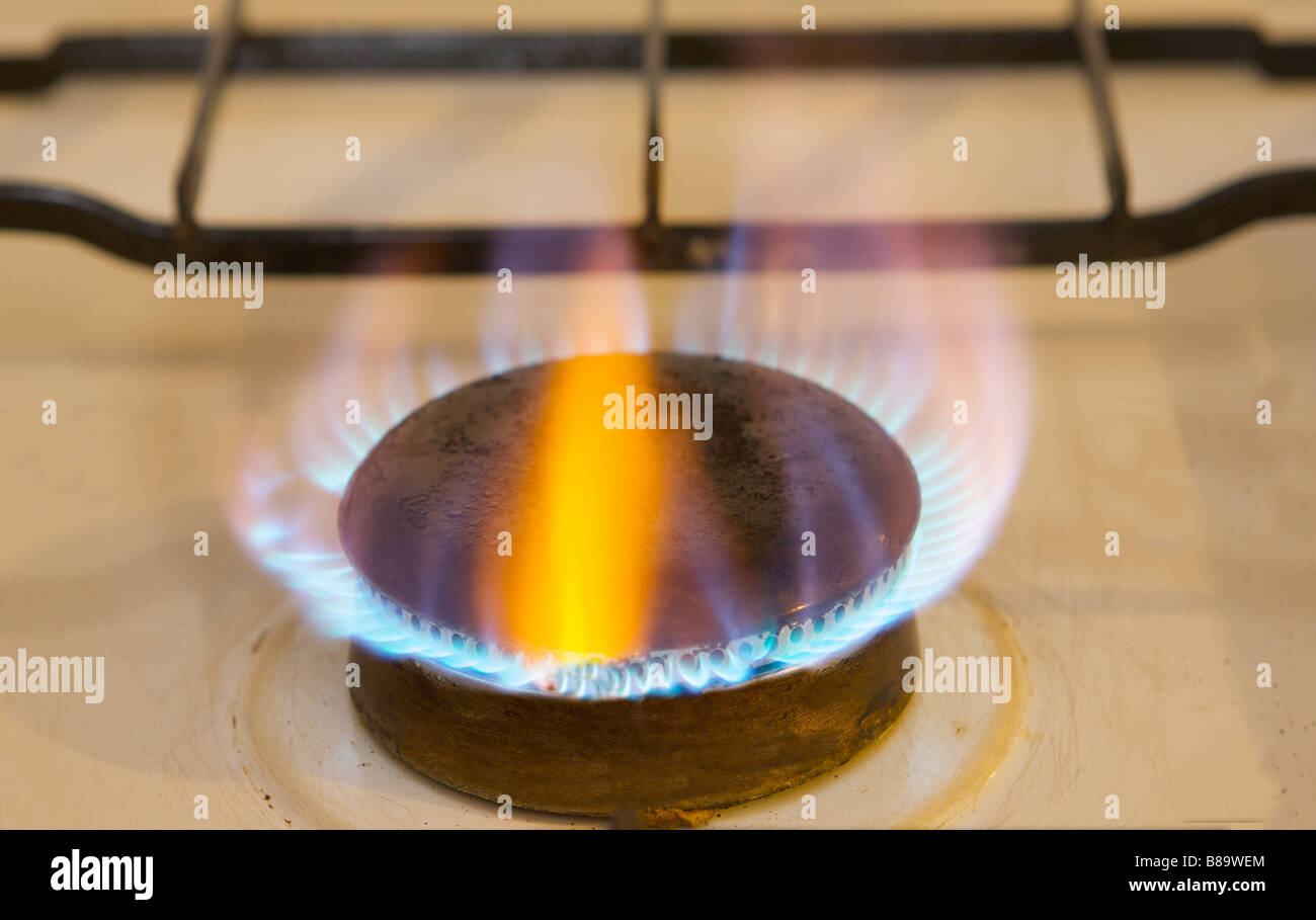 Photo of flames of kitchen oven burning gas Stock Photo Alamy
