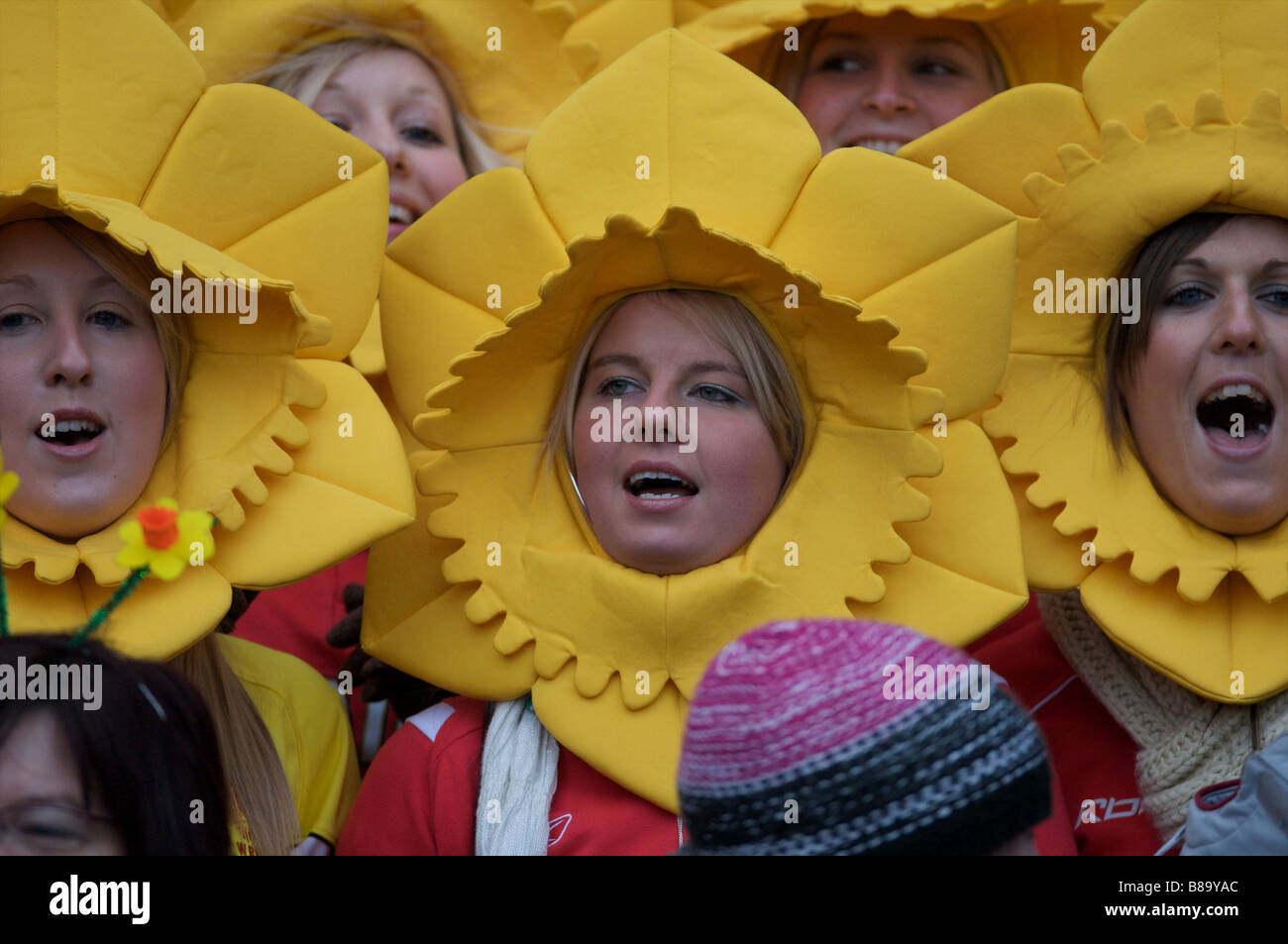 Welsh cheering hires stock photography and images Alamy