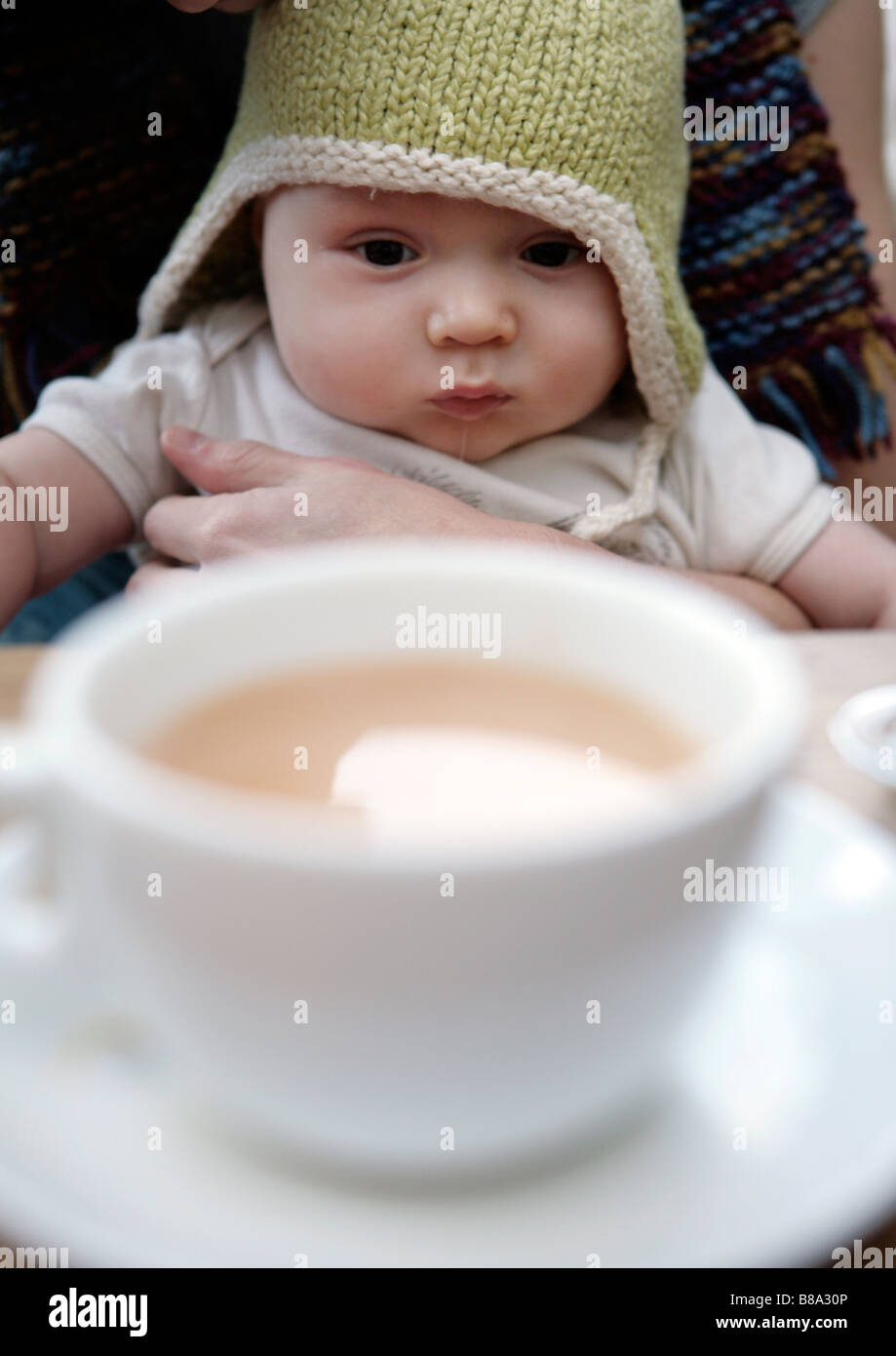 Baby Boy Looking At Cup Of Tea With Signed Model Release Available