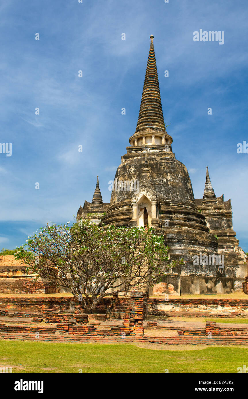 Stupas of Wat Si Sanphet Ayutthaya Thailand Stock Photo