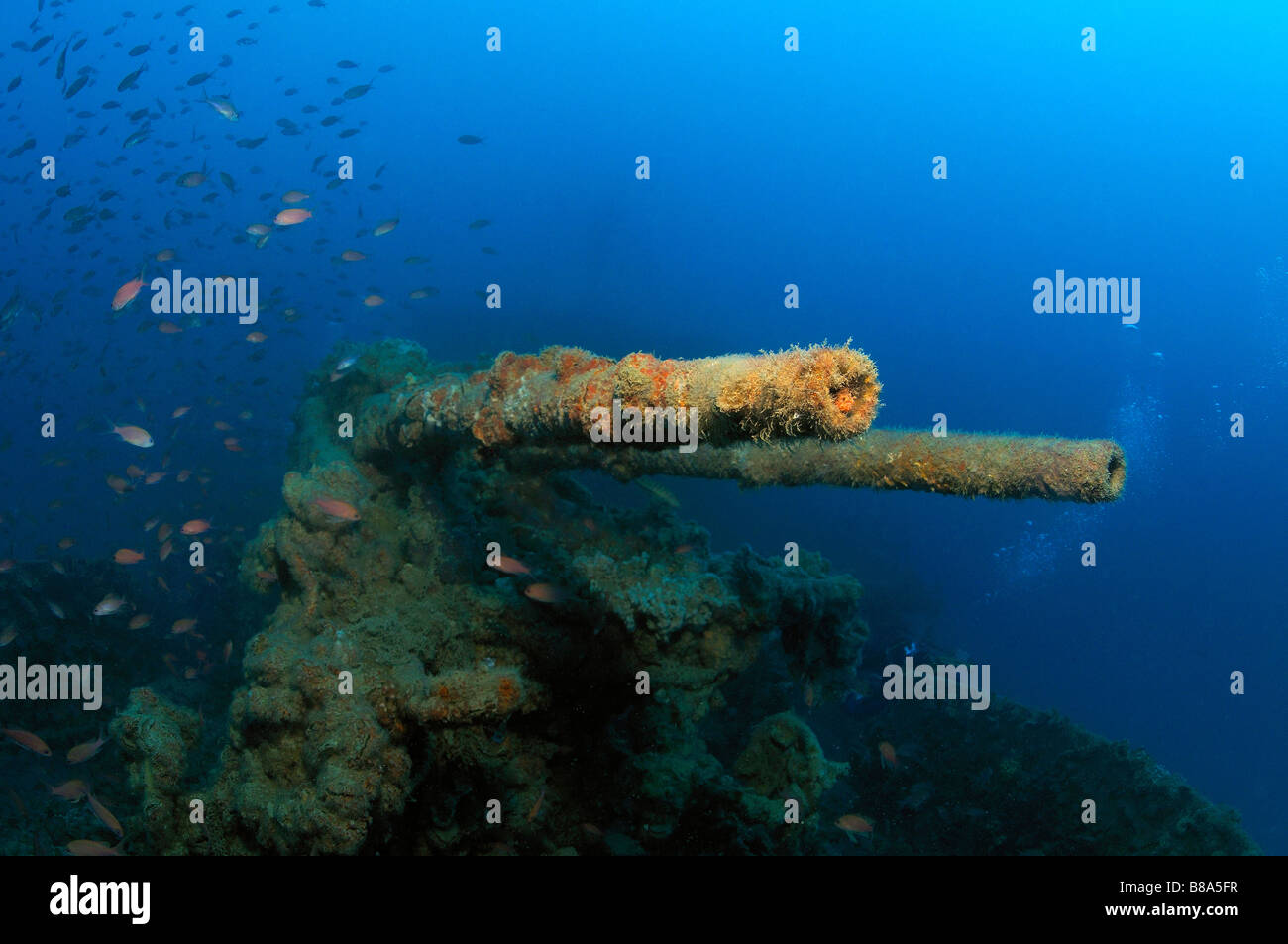 guns of wreck KT Stock Photo