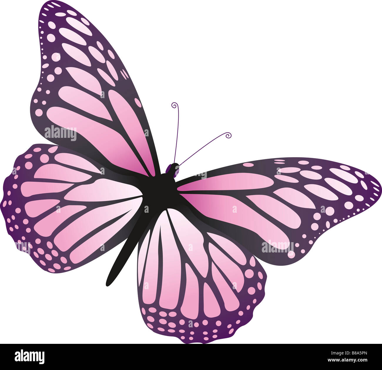 Illustration Of A Butterfly Stock Photo Alamy