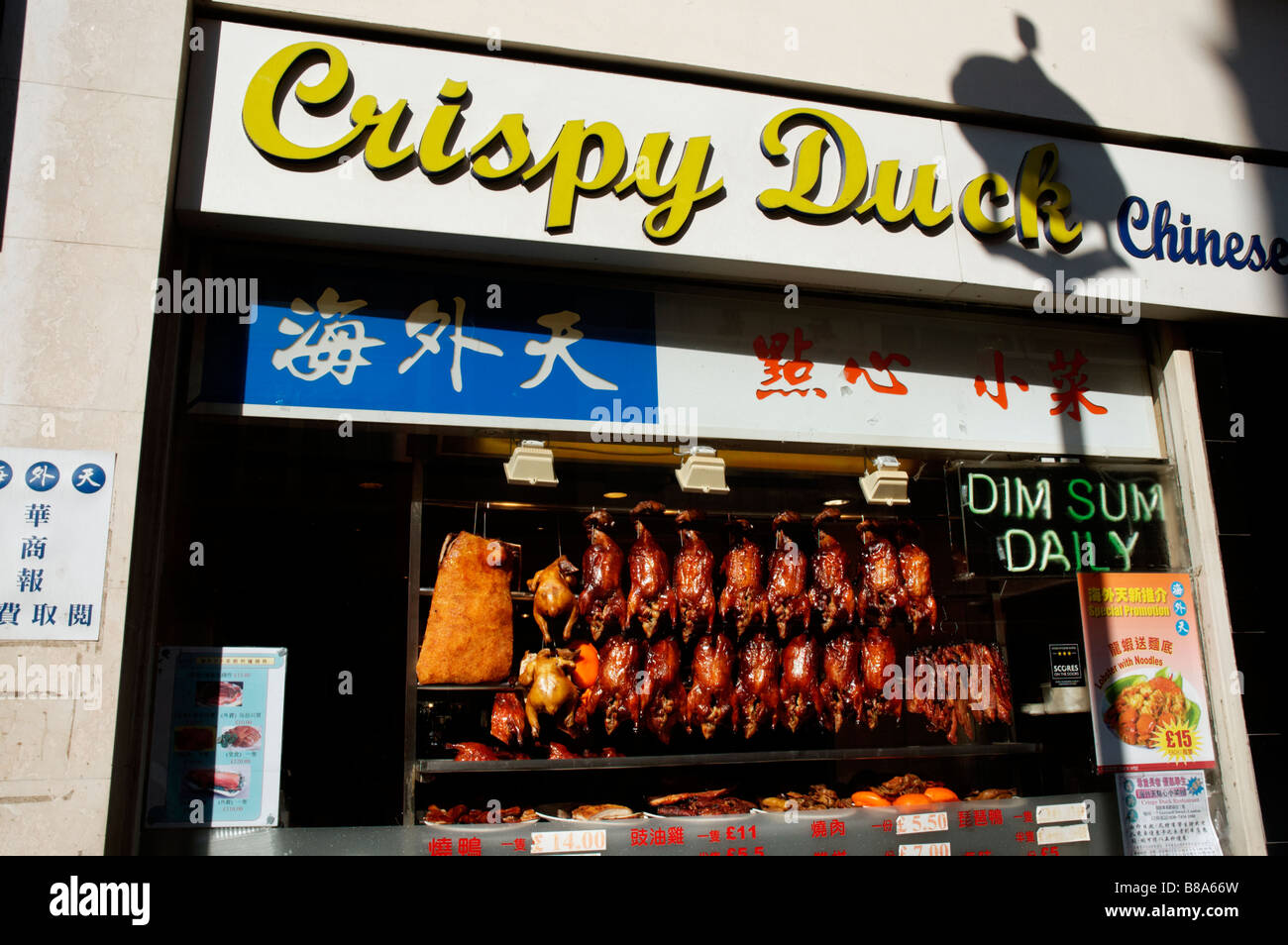 Crispy duck chinatown hi-res stock photography and images - Alamy