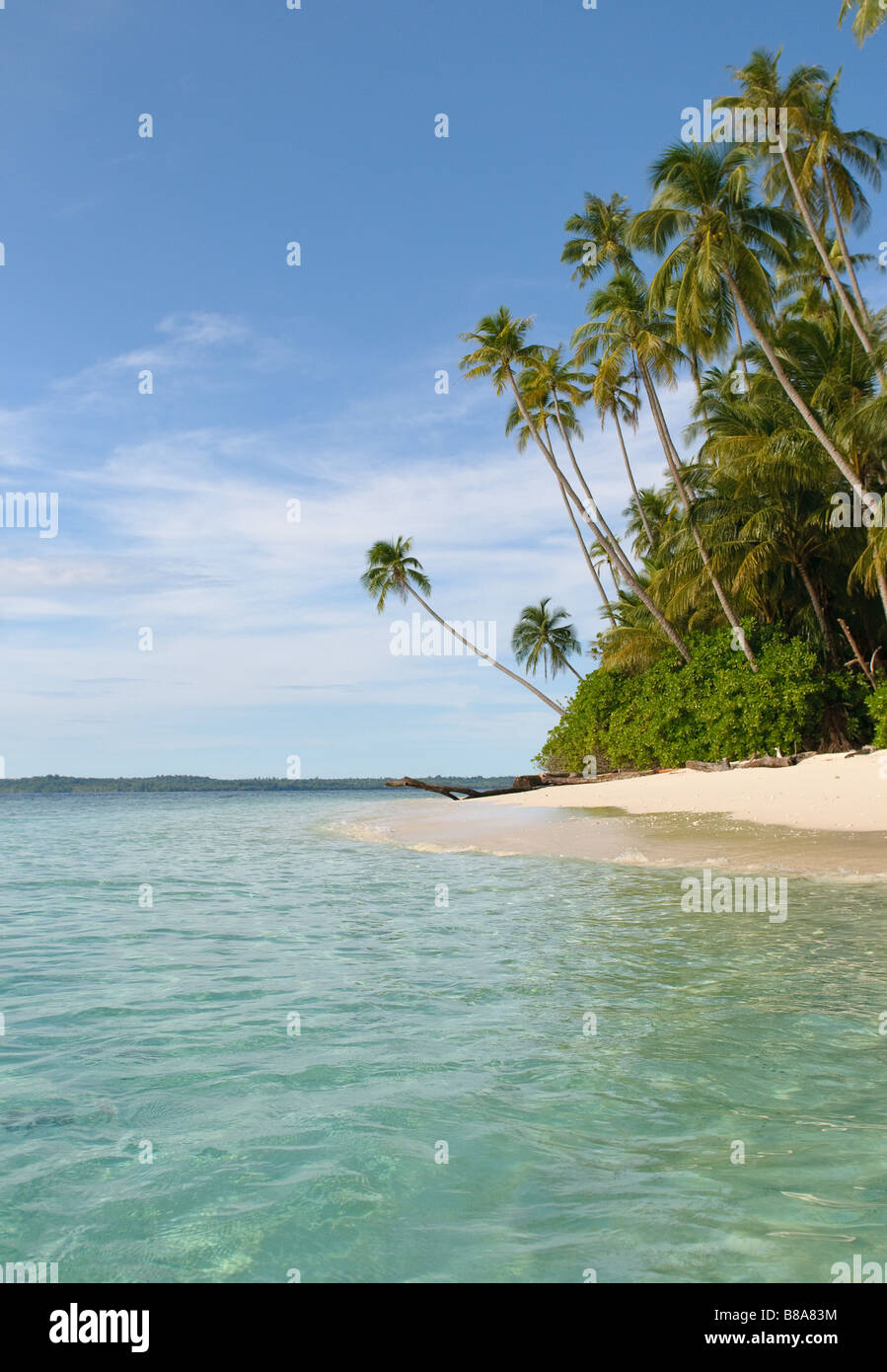 tropical island sea sky and palm trees Stock Photo - Alamy