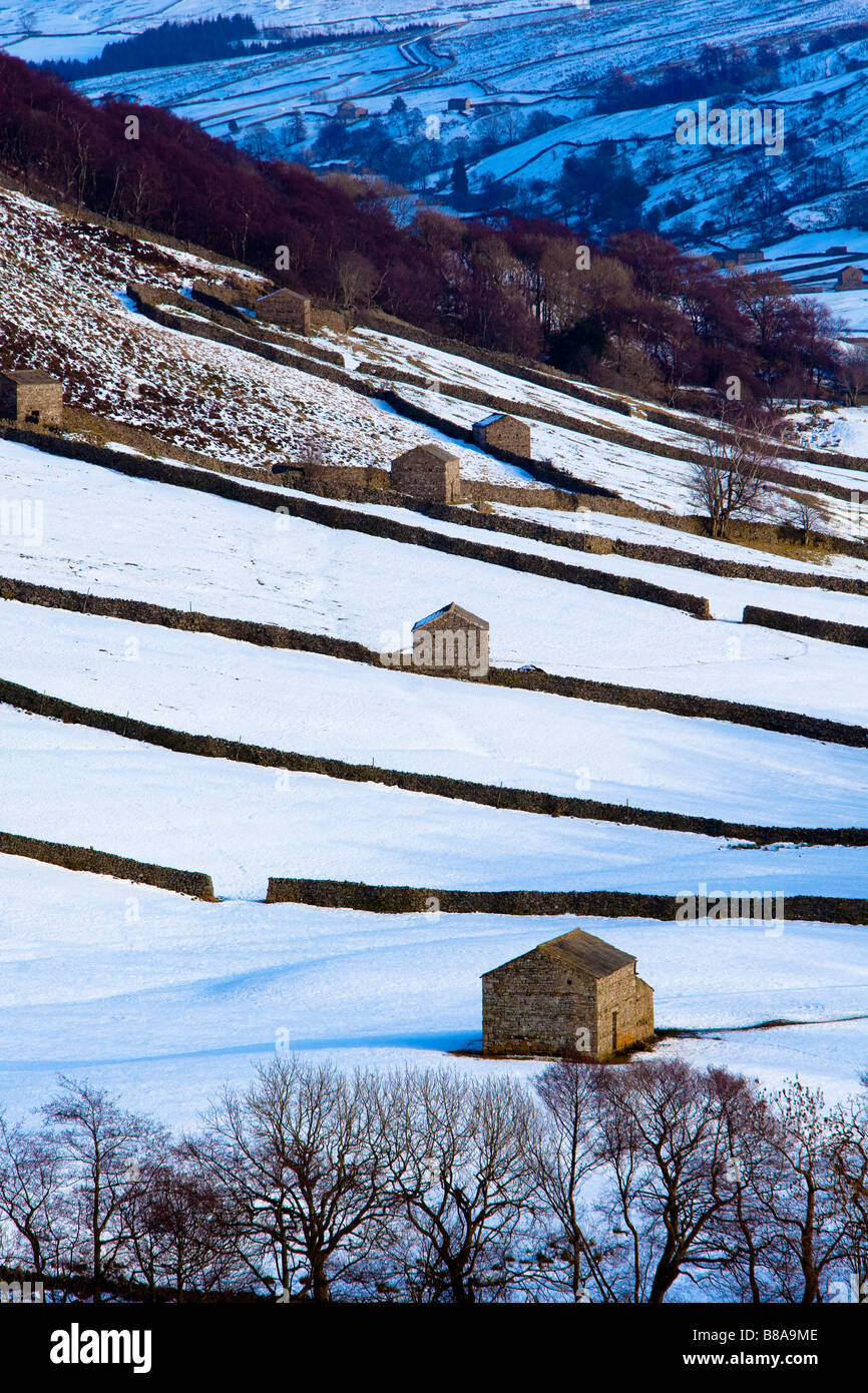Swaledale in Winter Yorkshire Dales National Park Stock Photo