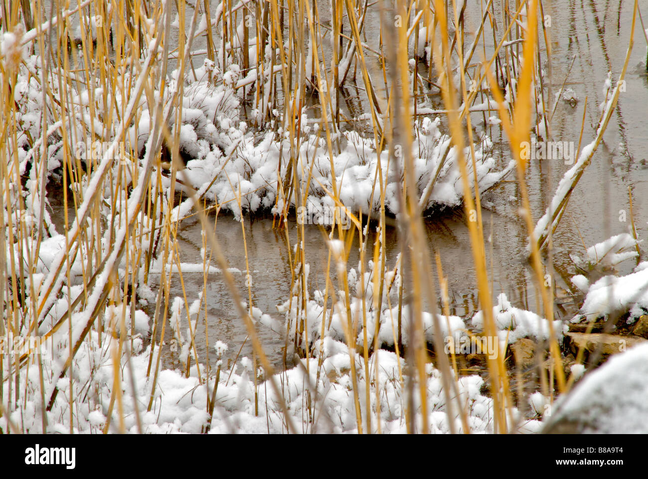 Winter day on the water hi-res stock photography and images - Alamy
