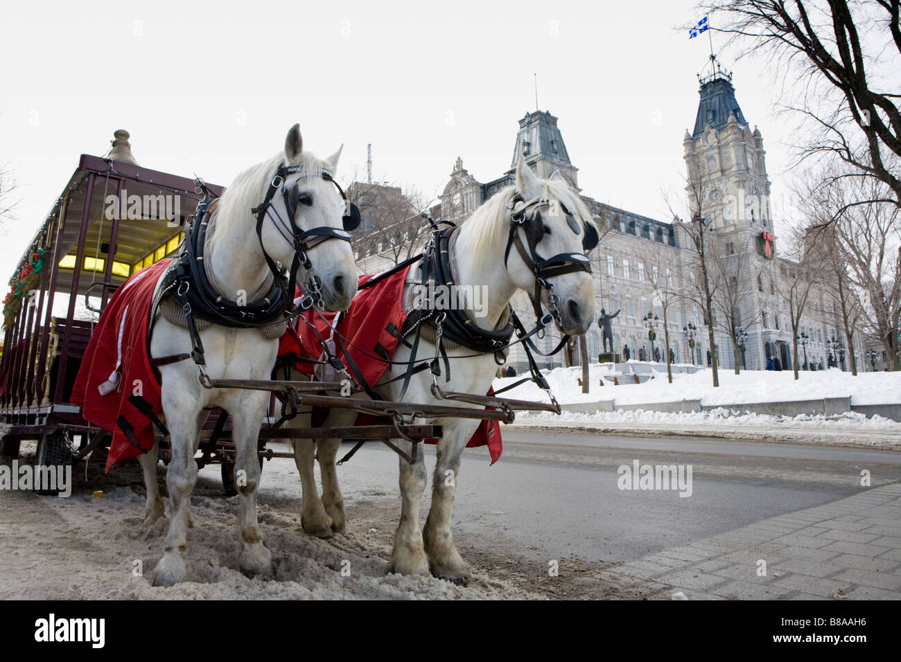 Horses and carriage await riders near Parliament Quebec City Canada Stock Photo