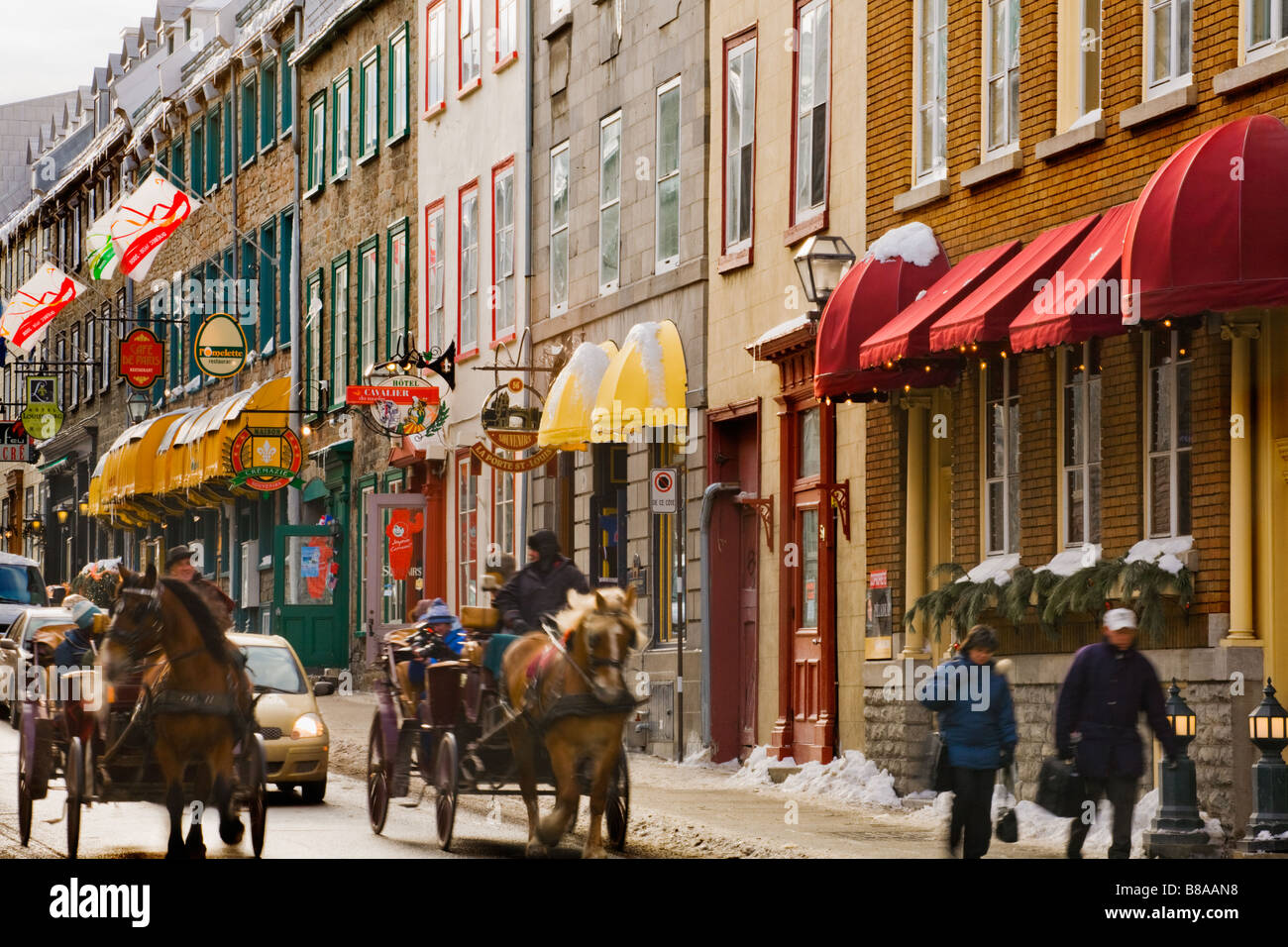 Horse and carriage rides for tourists on Rue SaintLouis Old Town