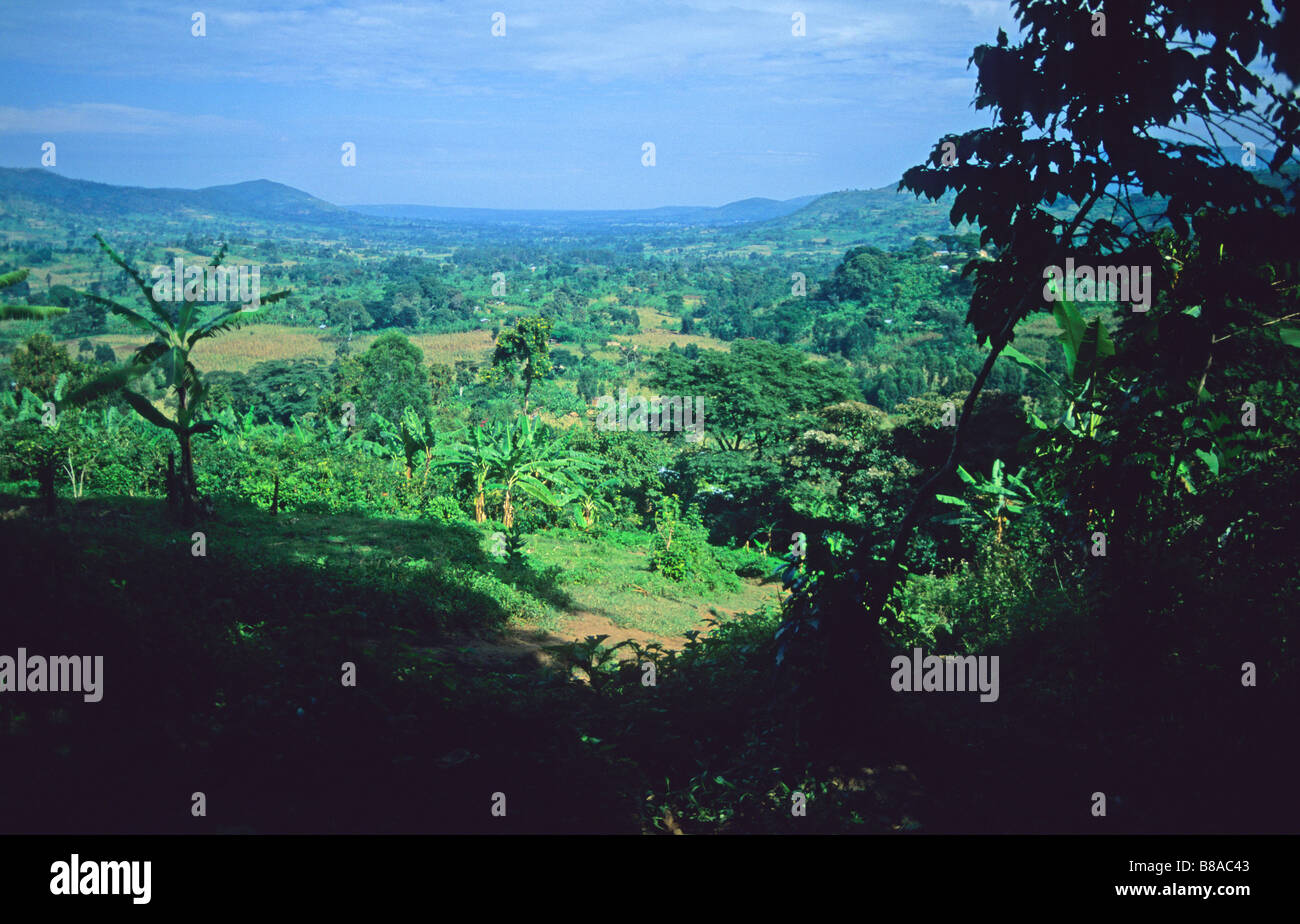 Kenya uganda border hires stock photography and images Alamy