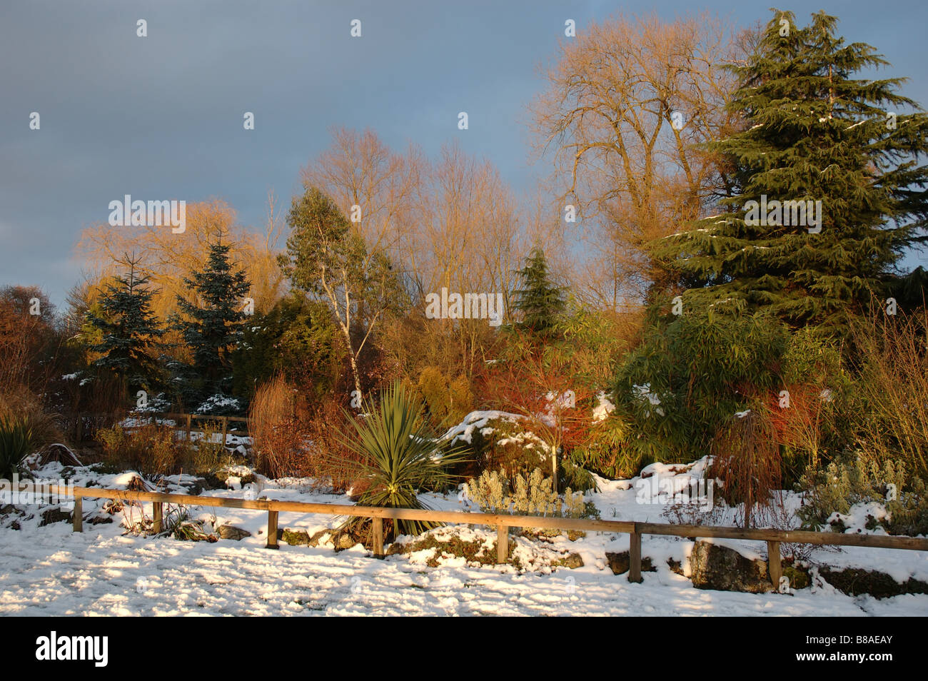 winter, Knighton Park, Leicester, Leicestershire, England, UK Stock