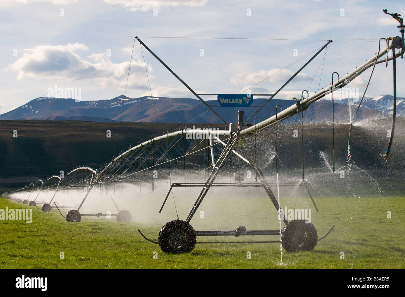 High country irrigation sprinkler Stock Photo