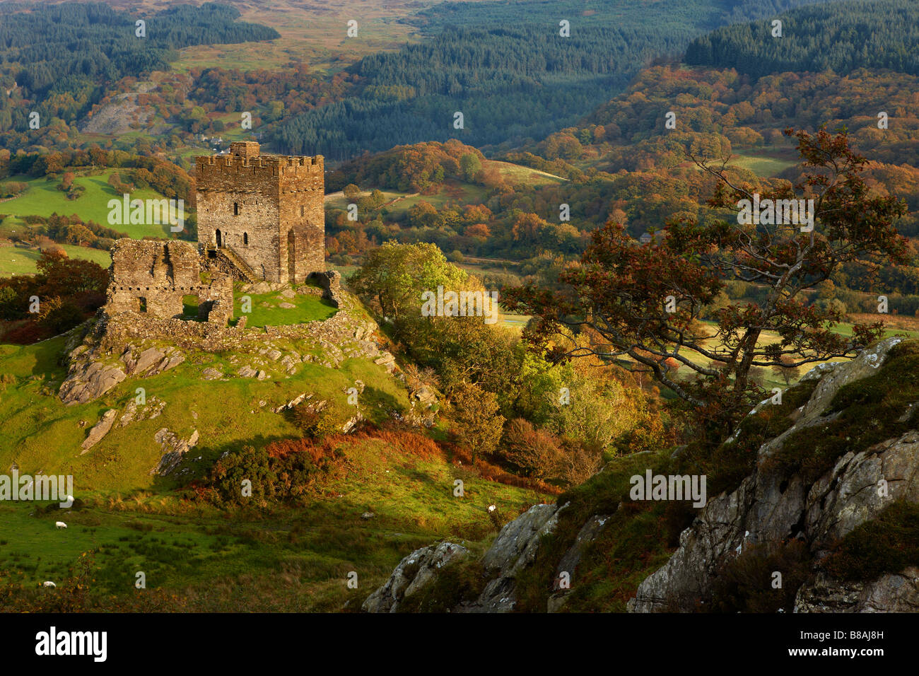 Dolwyddelan Castle, Dolwyddelan, nr Betws y Coed, Snowdonia National Park, North Wales Stock Photo
