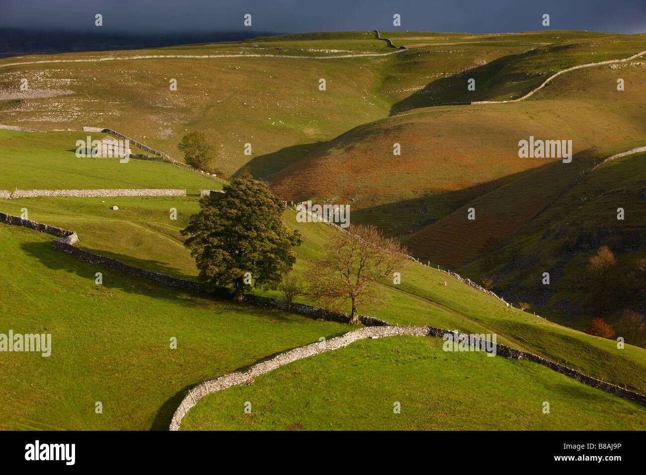 stone walls and barns nr Kettlewell, Wharfedale, Yorkshire Dales National Park, England, UK Stock Photo