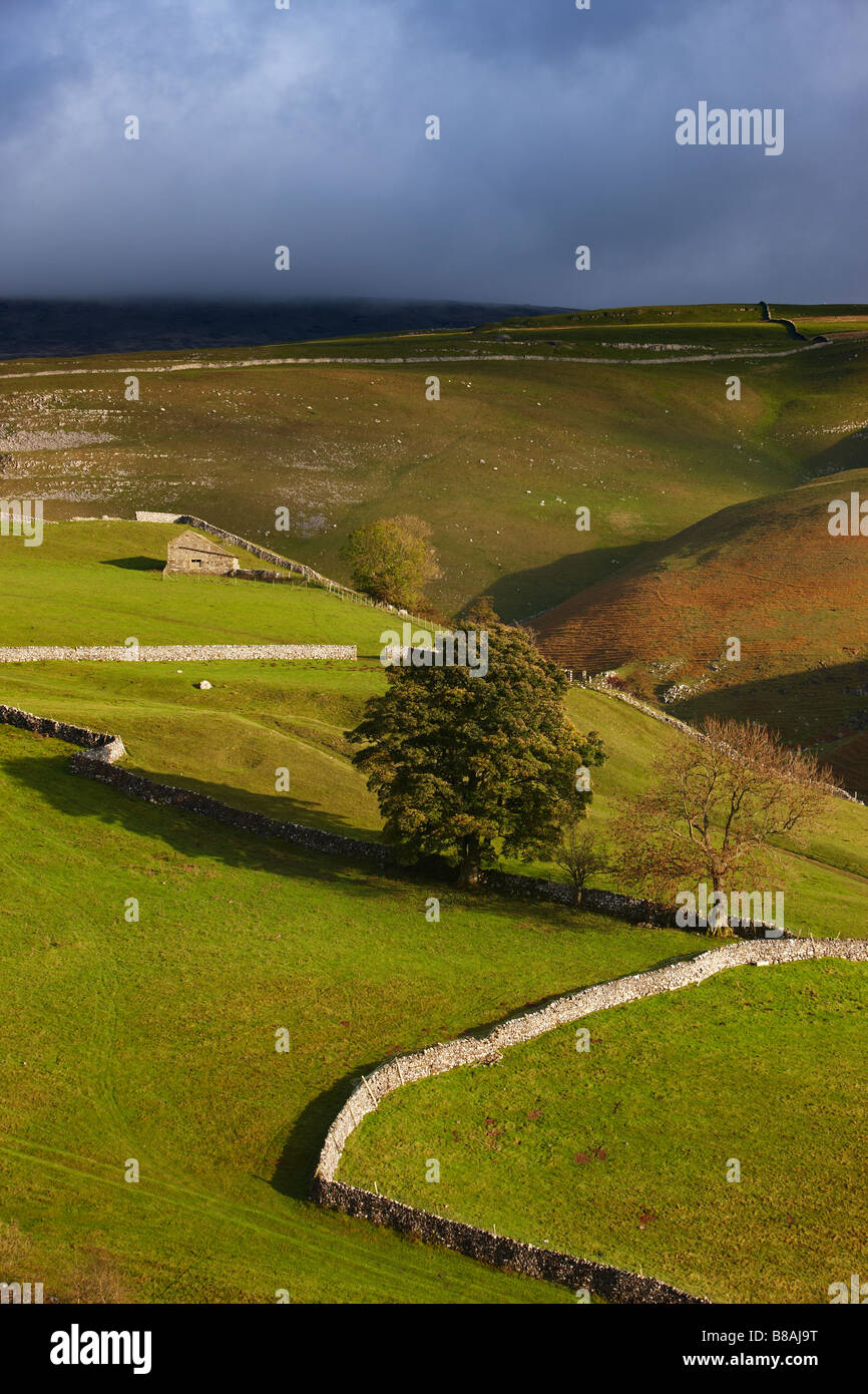 stone walls and barns nr Kettlewell, Wharfedale, Yorkshire Dales National Park, England, UK Stock Photo