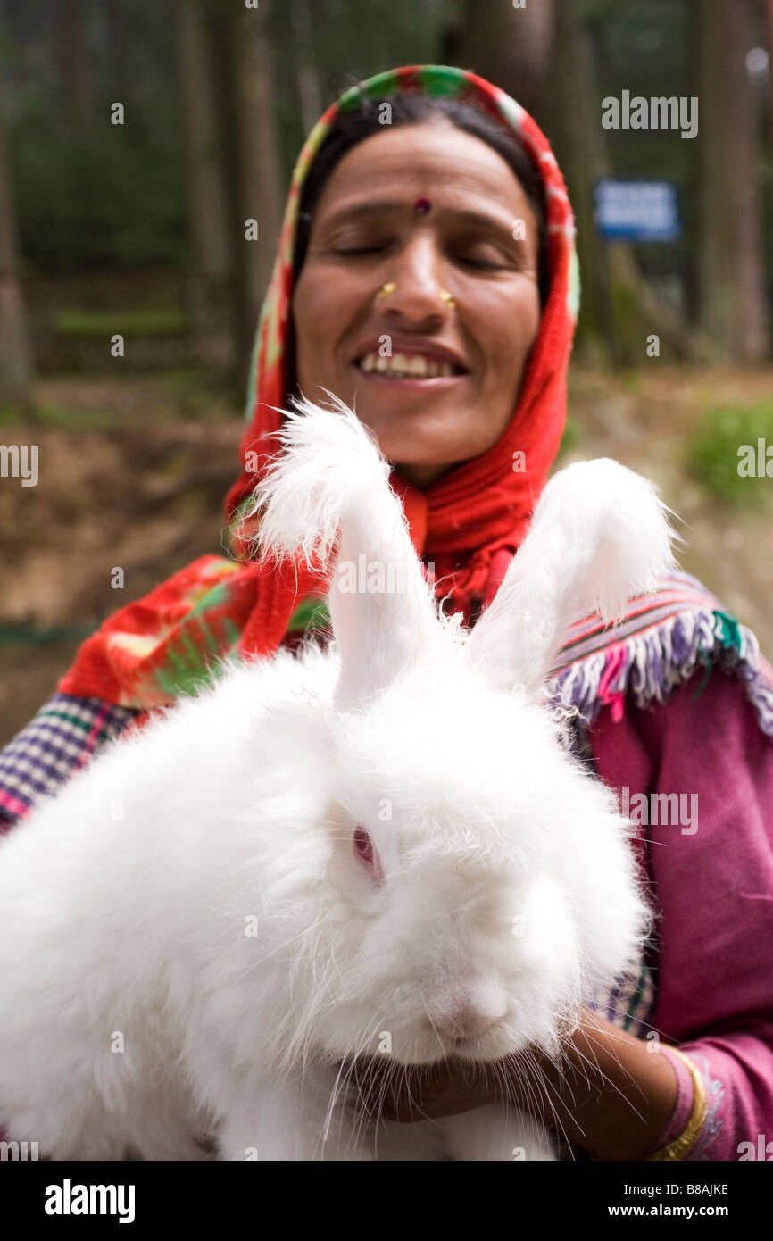 huge white rabbit