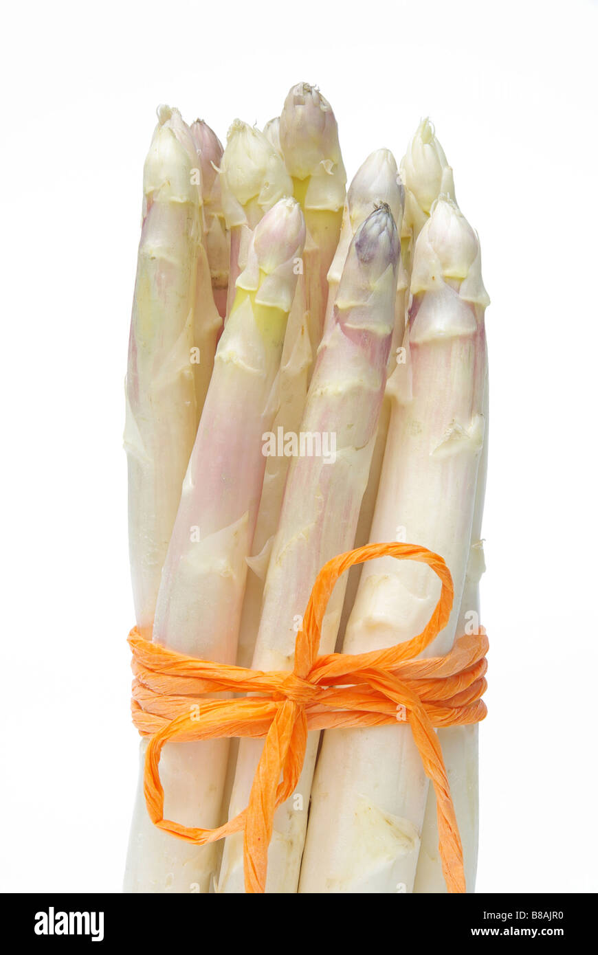 Spargel asparagus 02 Stock Photo