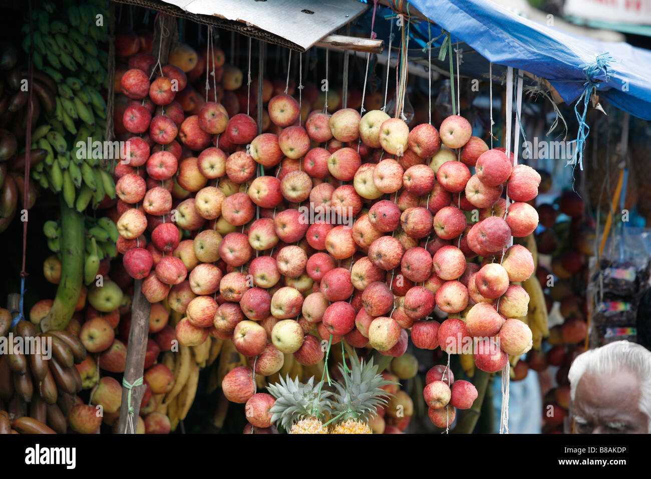 ROYAL GALA APPLES FOR SALE IN COCHIN, INDIA Stock Photo Alamy
