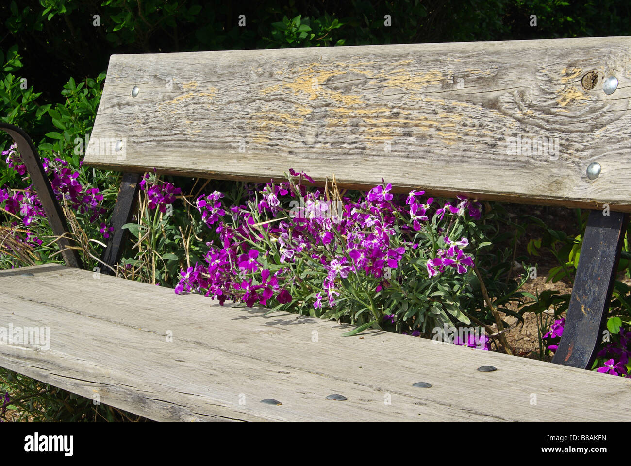 Bank bench 04 Stock Photo