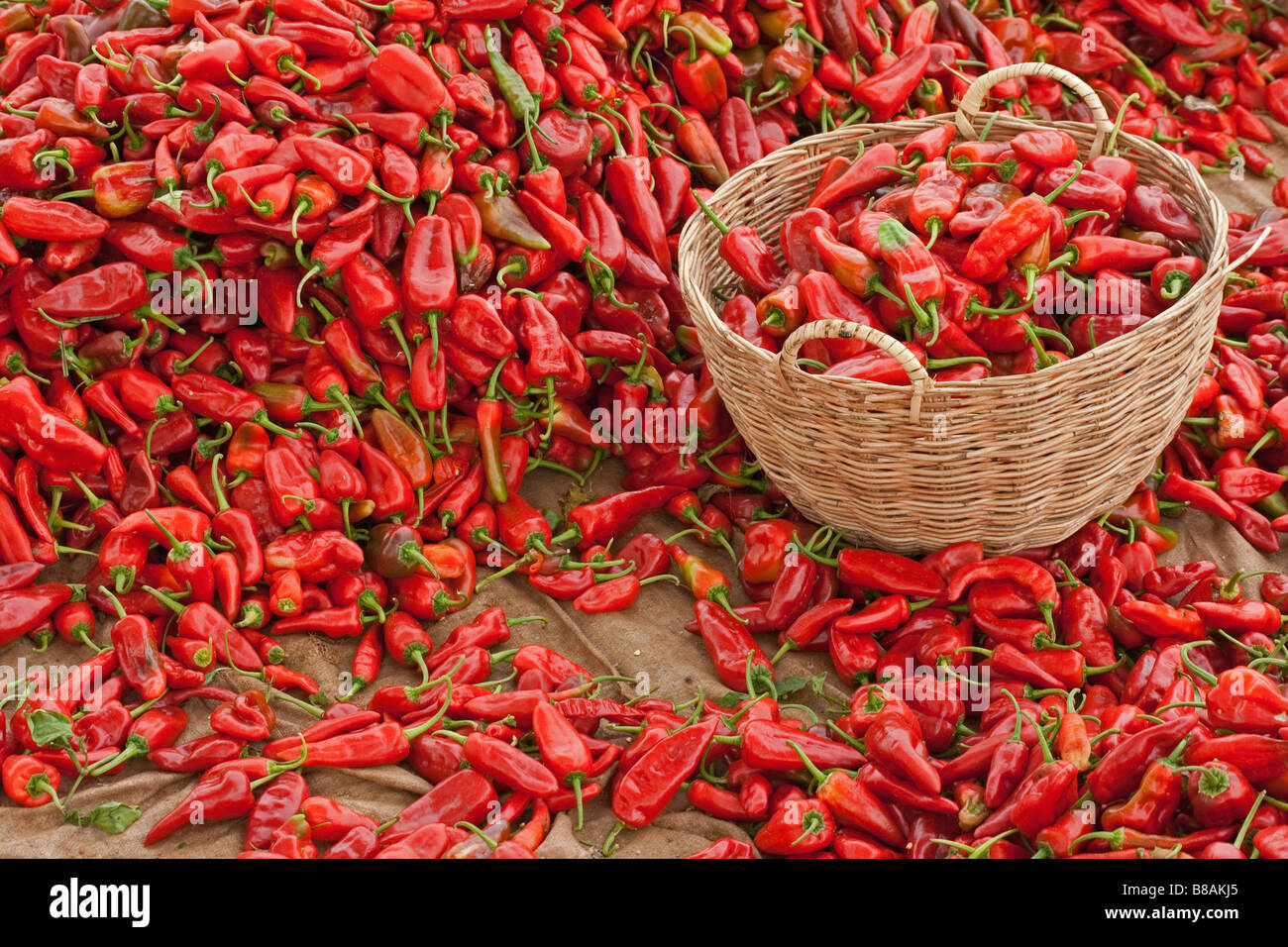 Chilli display chili pepper hires stock photography and images Alamy
