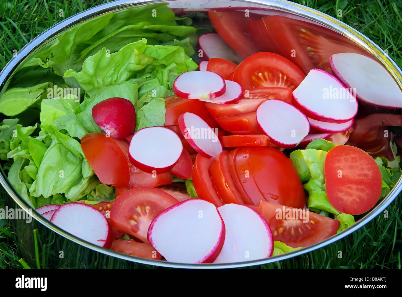 Gemischter Salat mixed salad 04 Stock Photo