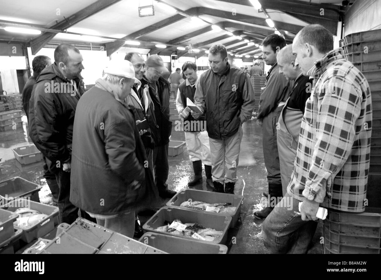 Newlyn fish market hires stock photography and images Alamy