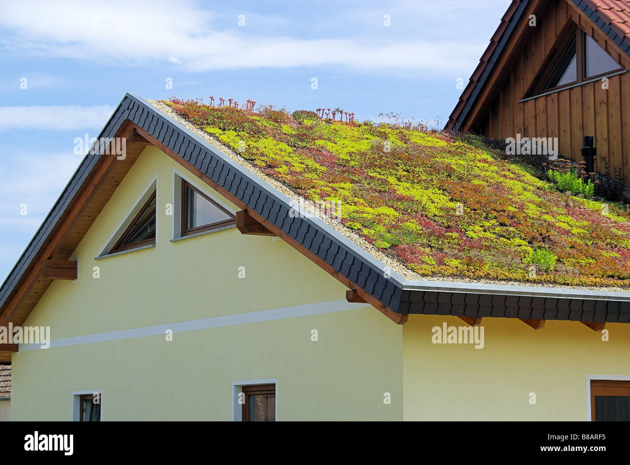 Gründach green roof 04 Stock Photo