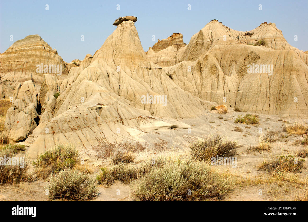 Dinosaur Provincial Park, Alberta Stock Photo - Alamy