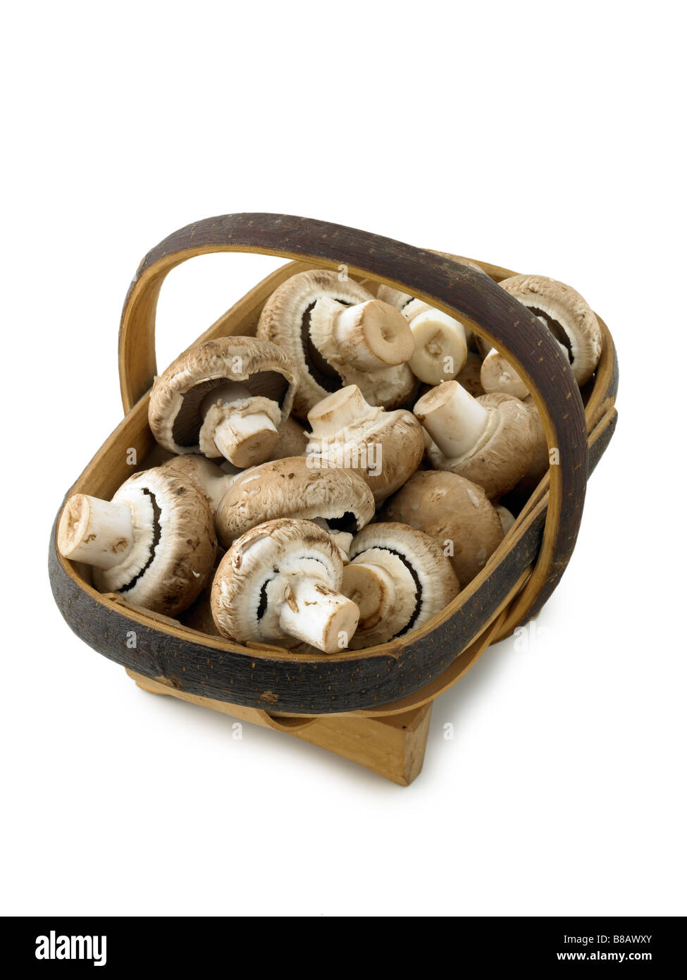 mushrooms in a basket Stock Photo