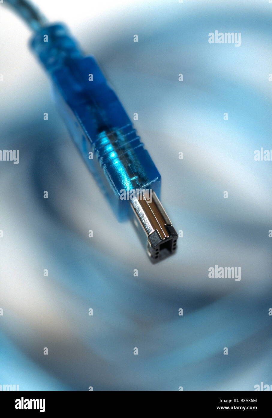 FV3527, Natural Moments Photography; Firewire Cable, Grey Background