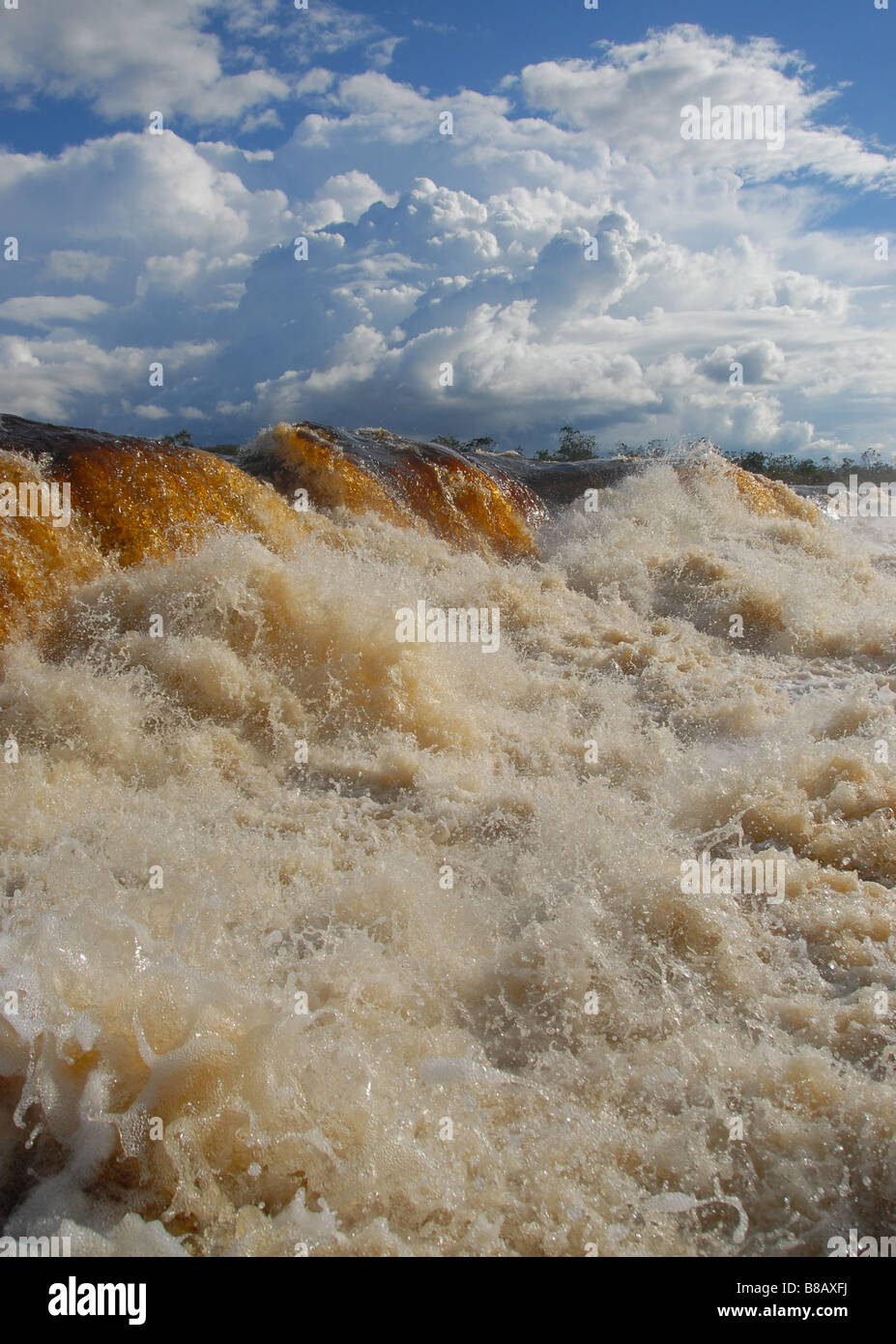 Venezuela river in summer flood. Stock Photo