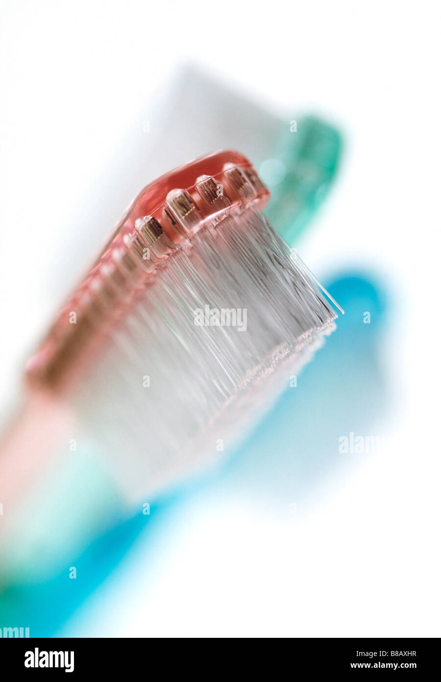 Three toothbrushes toothbrush hi res stock photography and images