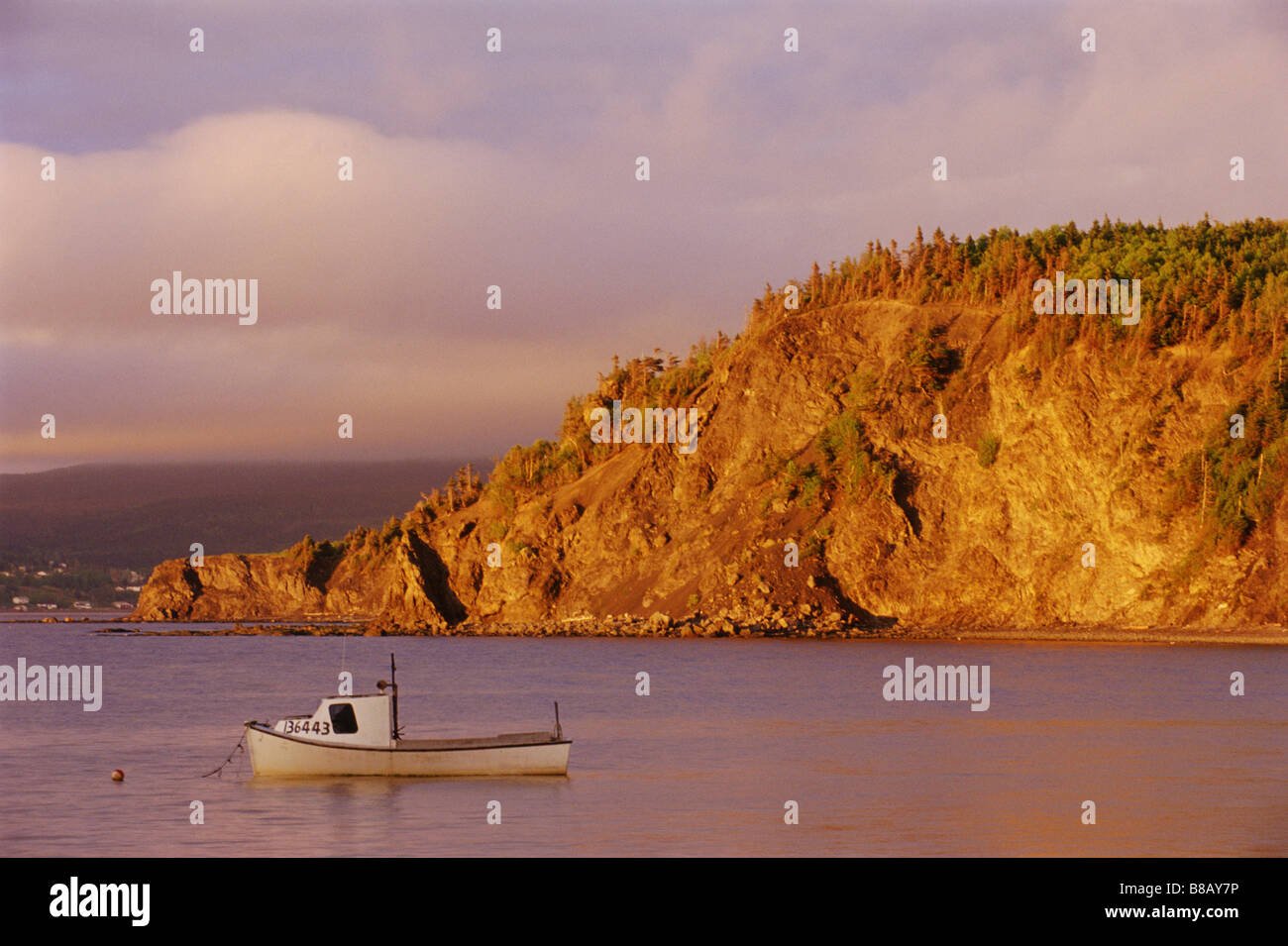 Fishing Boat, Frenchman Cove, Newfoundland Stock Photo Alamy