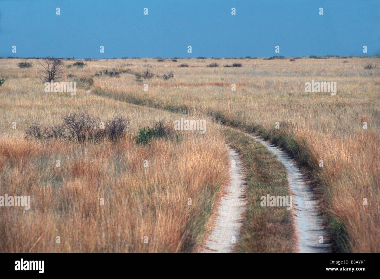 Remote sand track Stock Photo