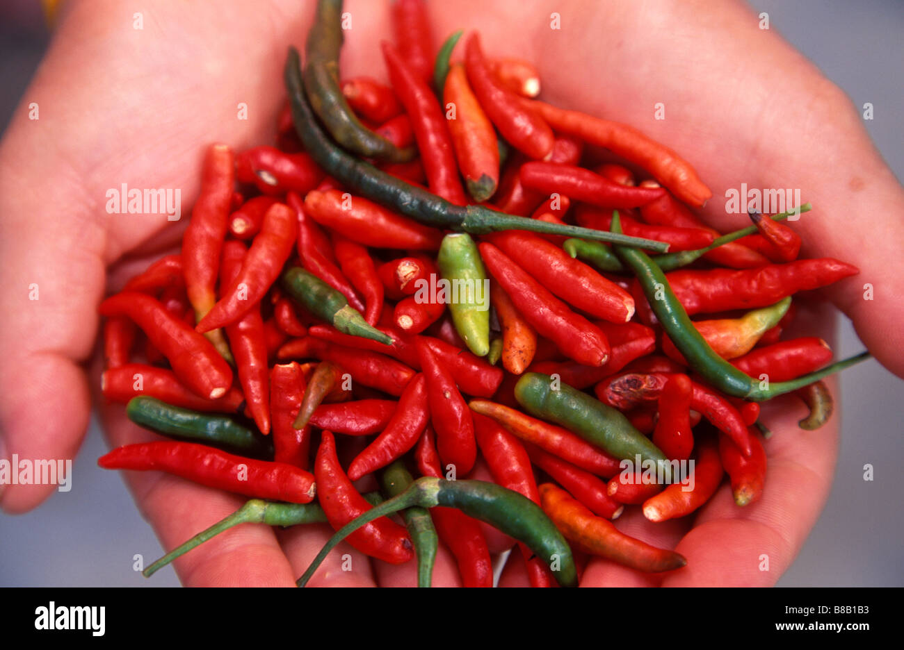 A handful of green and red chilli Stock Photo - Alamy