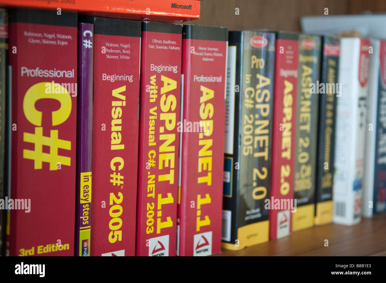 Software engineering/programming books on a bookshelf Stock Photo