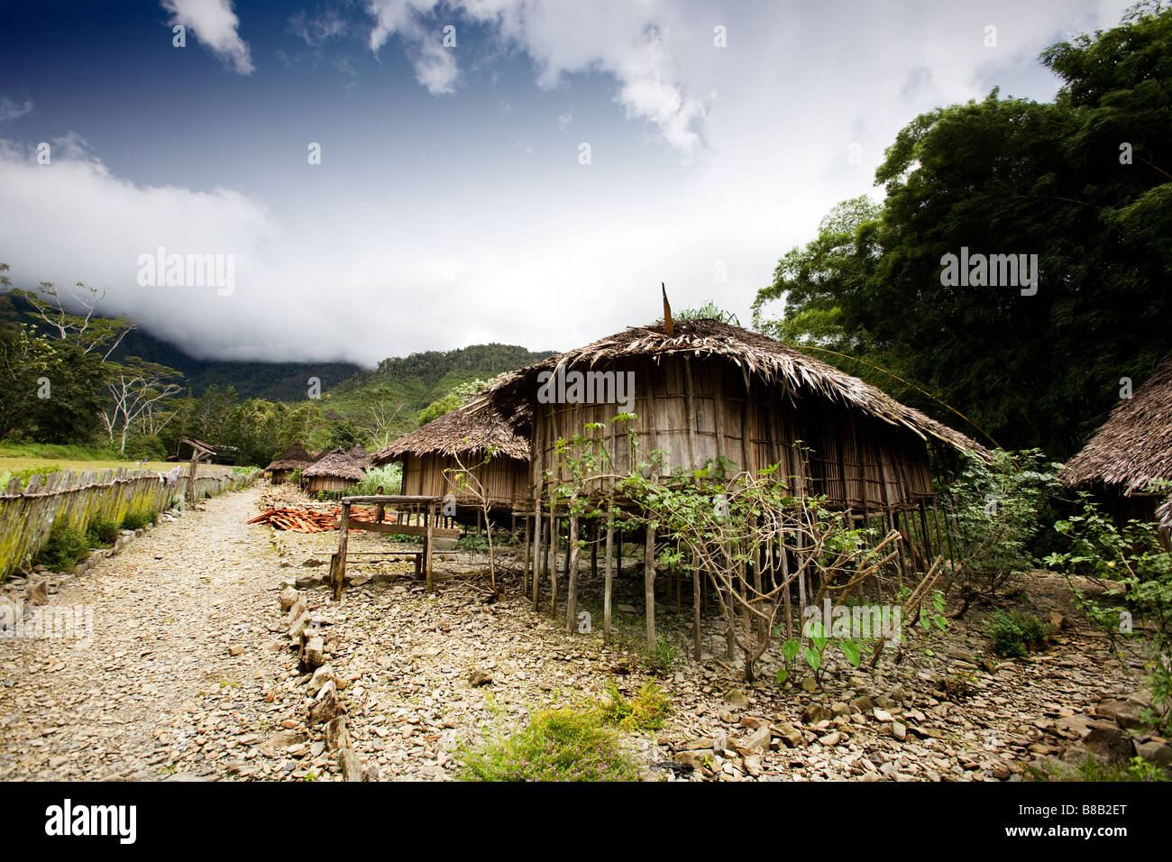 A traditional village hut in Papua Indonesia Stock Photo