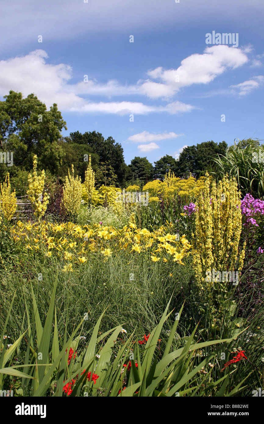 A COLOURFUL SUMMER BORDER IN AN ENGLISH COUNTRY GARDEN Stock Photo - Alamy