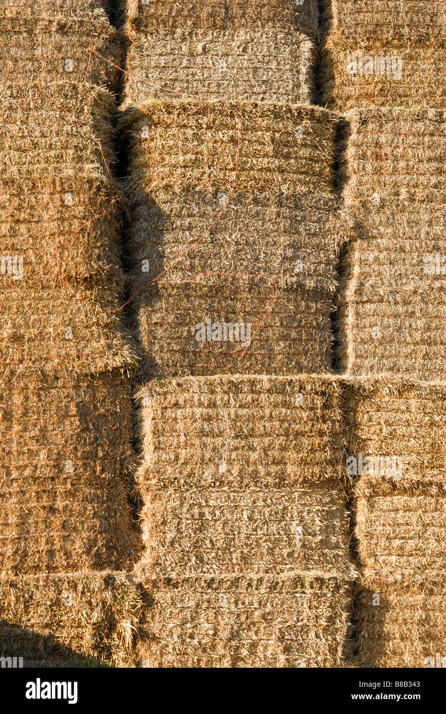 Bales of hay Stock Photo - Alamy