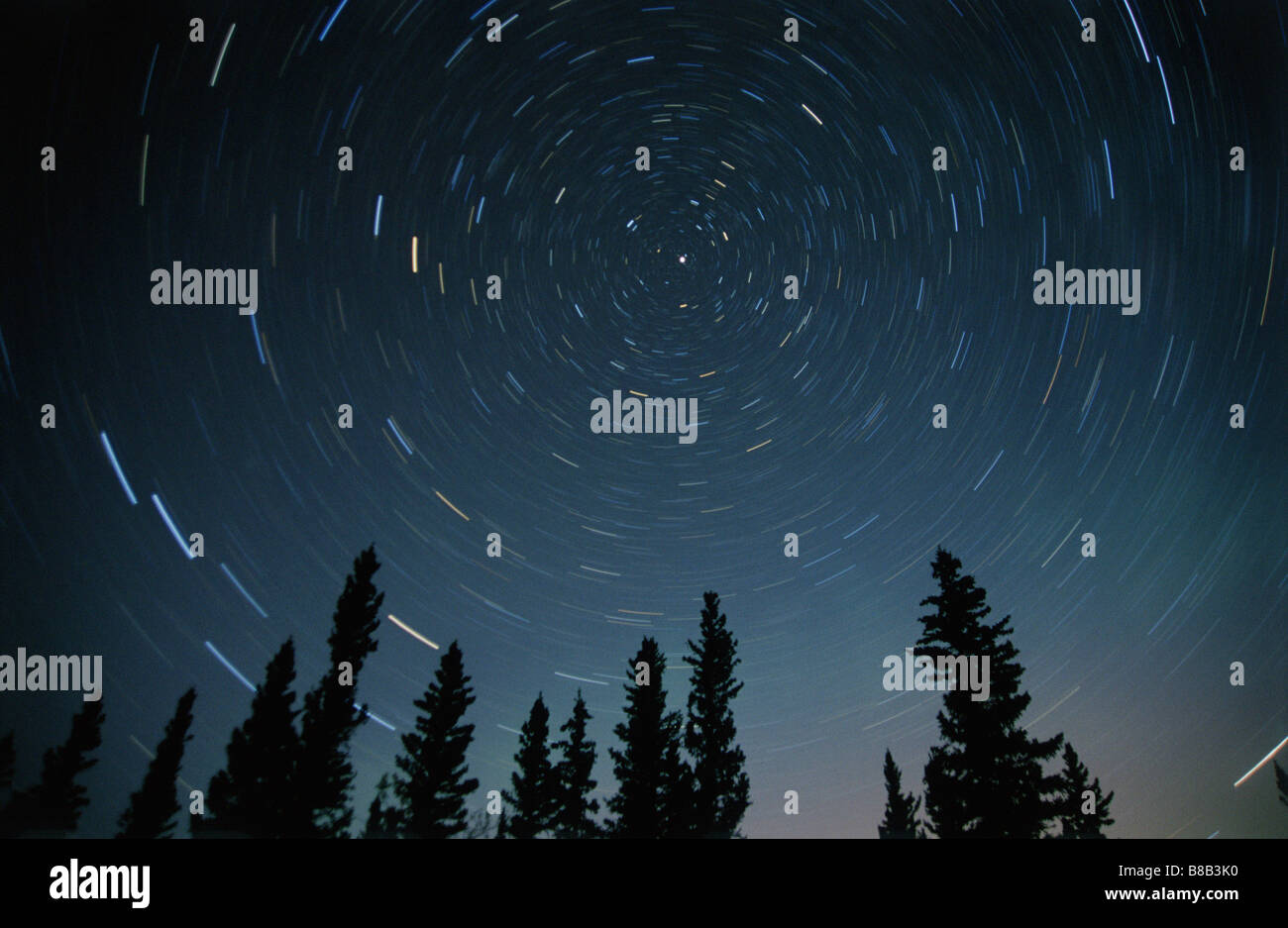 Star Trails, Sandilands Provincial Park, Manitoba Stock Photo Alamy