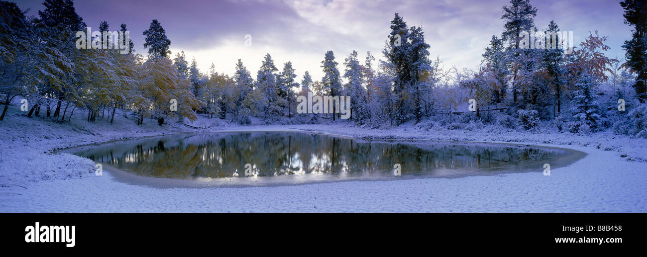 Pond  Fresh Snowfall, near 70 Mile House, British Columbia, Canada Stock Photo