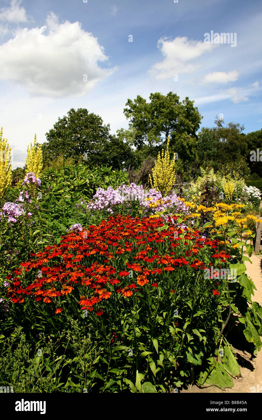 A COLOURFUL SUMMER BORDER IN AN ENGLISH COUNTRY GARDEN Stock Photo - Alamy