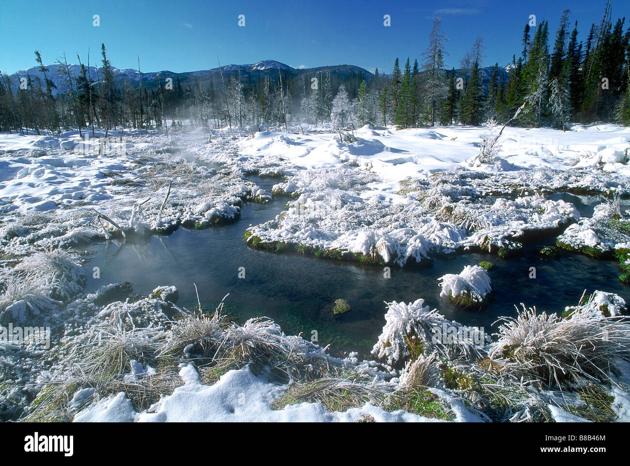Liard River Hot Springs Winter, British Columbia, Canada Stock Photo