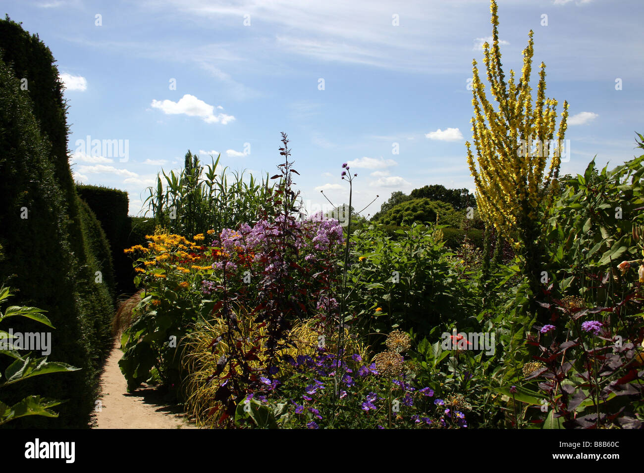 A COLOURFUL SUMMER BORDER IN AN ENGLISH COUNTRY GARDEN Stock Photo - Alamy