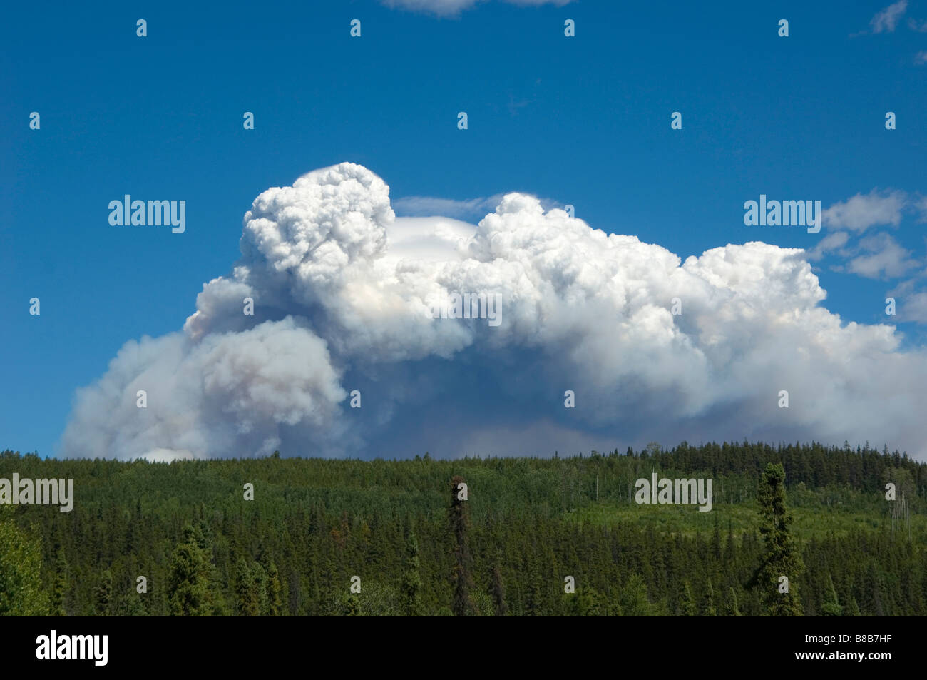 Forest Fire Smoke, Tumbler Ridge, BC Stock Photo