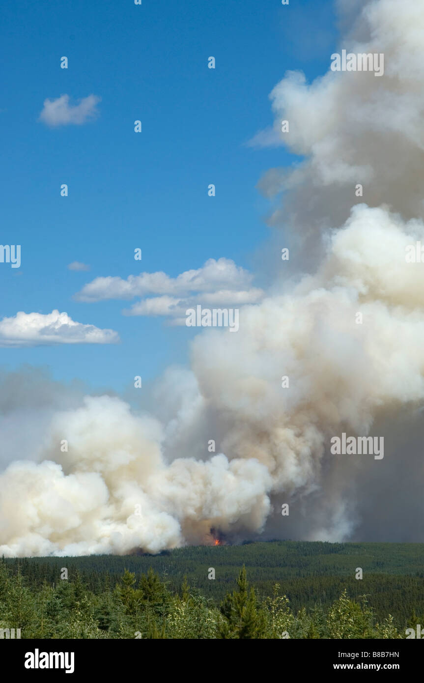 Forest Fire Smoke, Tumbler Ridge, BC Stock Photo