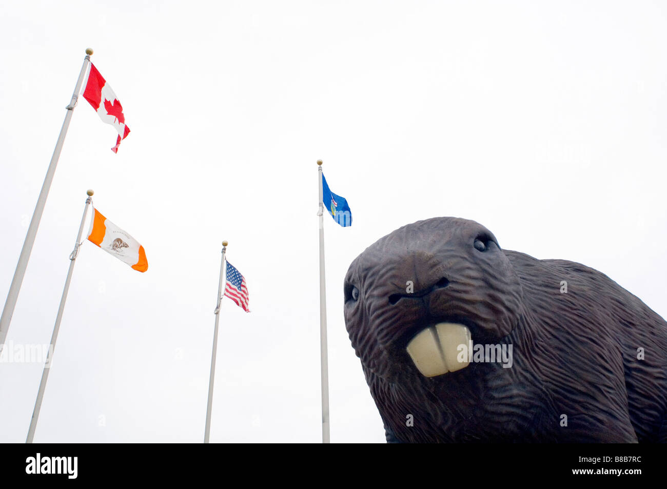 Giant Beaver Monument, Beaverlodge, Alberta Stock Photo Alamy
